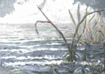 Dekoracje elisabeth morska trawa, pejzaż, poranek i morze, w fale bałtyk, chmury nad