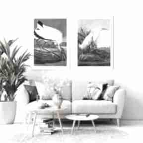 Zestaw 2 plakatów ptaki B2 - 50x70 cm hogstudio vintage, obraz, mieszkanie, ozdoba