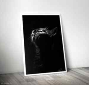 Kot czarne tŁo grafika rysunek skan światło wersja cyfrowa