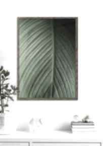 Plakat 50x70 cm - wypleciona zieleń gc - 21-779 plakaty futuro design natura, z roślinami