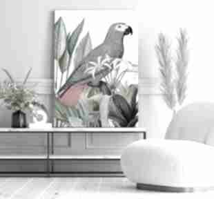 Obraz na płótnie papuga szara - płótno w formacie 70x100 cm hogstudio, wzór, kolorowy