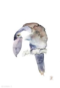 Obrazy. Ptaki prezenty natura egzotyczne tukany dom alquadro