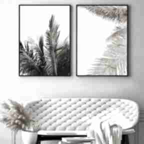 Zestaw plakatów - 40x50 cm liście palmy w słońcu gc - - plakaty futuro design