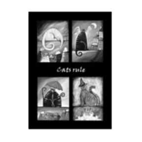 Cats rule, plakat 50x70 cm plakaty aleksandrab kot, koty, obraz, dekoracja