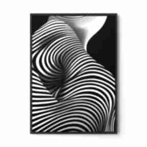 Plakat zebra czarno biały - format 30x40 cm plakaty hogstudio, dla mężczyzny, na prezent
