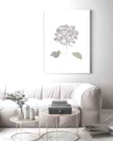 Hortensja, plakat A3, reprodukcja plakaty lucja paczkowska kwiaty, akwarela, obraz do salonu