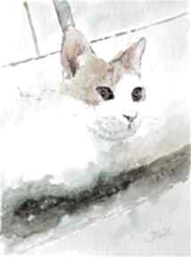 Koci obserwator, 24x32 cm joannatkrol kot, koty - kotek akwarela, zwierzęta