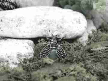 Stalowy z awenturynem owad cykada #259 wisiorki metal earth