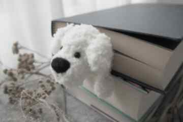 biały - zakładki wernika pies, piesek, maltańczyk, do książki, dla mola książkowego, oryginalny