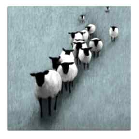 Obraz do salonu drukowany na płótnie owce wypasie 02667 ludesign gallery abstrakcja, zwierzęta