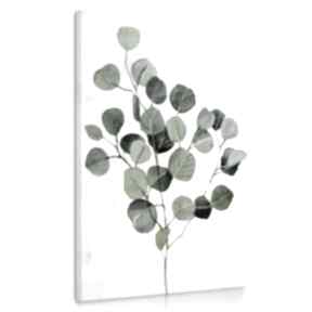 Obraz drukowany na płótnie roslina eukaliptus 70x100cm 03102 ludesign gallery grafika
