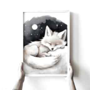Plakat śpiący lisek pokój dziecka - format 50x70 cm plakaty hogstudio, dziecięcy, lis