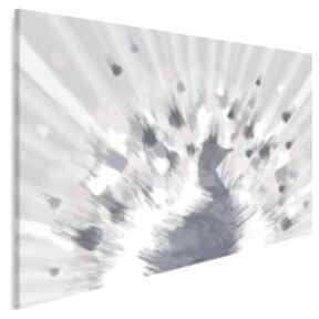 Obraz na płótnie - 120x80 cm 82301 vaku dsgn paw, ptak, kolory, promienie, pióra