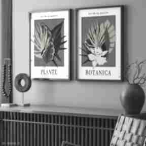 Zestaw plakatów botanicznych - 40x50 cm gc - - plakaty futuro design, z roślinami