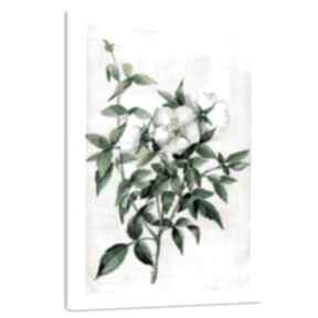 Obraz drukowany na płótnie białe kwiaty 70x100cm 03152 ludesign