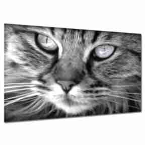 Obraz do salonu kot k4 120x80cm zwierzęta sypialni aleobrazy, kot, designe