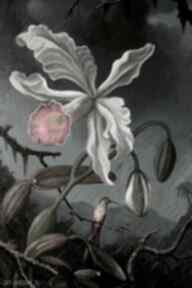 "burzowa orchidea patrzy na kolibra" obraz płótnie pi art, koliber, burza - malarstwo