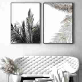 Zestaw plakatów - 50x70 cm liście palmy w słońcu gc - - plakaty futuro design