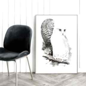 biała sówka - format 30x40 cm hogstudio plakat, plakaty, sowy, zwierzęta