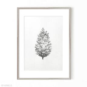 Rysunek w rozmiarze A5 - "pinecone" aga szafranska art ilustracja, leśny obraz, obrazek natury