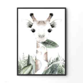 żyrafa 50x70 cm B2 pokoik dziecka hogstudio obraz, plakat, dziecko