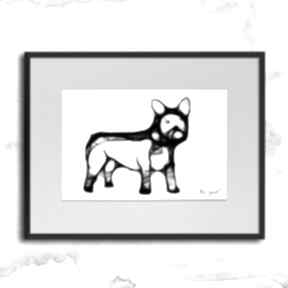 Grafika z psem dla miłośników buldogów buldożek francuski: buldogiem - ramą. Czarno biała maja