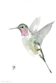 Akwarela koliber alquadro ptaki, dekoracje, malarstwo, kolibry, prezenty, natura