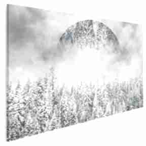 Obraz na płótnie - 120x80 cm 33101 vaku dsgn góry, las, zima, koło, śnieg
