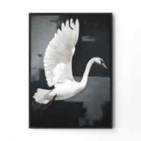 Plakat łabędź ptak - format 30x40 cm plakaty hogstudio, do salonu, sztuka, desenio