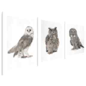 Obraz na płótnie - 3x50x70 cm 03301 vaku dsgn tryptyk, sowy, ptaki, natura, stonowany