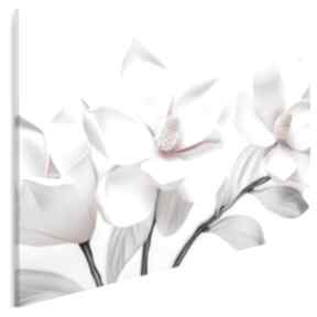 Obraz na płótnie - delikatne białe 120x80 cm 102601 vaku dsgn z kwiatami, kwiaty, obrazy