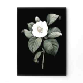 Plakat obraz black vintage 50x70 cm B2 hogstudio, kwiaty