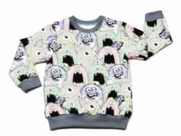 Potworki kolorowa całoroczna bluza dziecięca, rozmiary 68-128 bam bi, dla chłopca