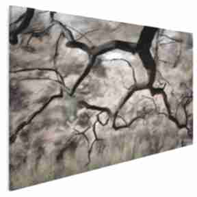 Obraz na płótnie - 120x80 cm 27501 vaku dsgn drzewo, park, gaj, zagajnik, liście
