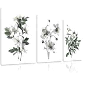Obraz drukowany na płótnie białe kwiaty - tryptyk każda 50x70cm łącznie 150x70cm ludesign