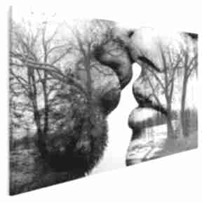Obraz na płótnie - 120x80 cm 29501 vaku dsgn pocałunek, para, miłość, drzewa, namiętność