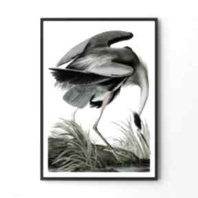 Plakat obraz heron 40x50 cm plakaty hogstudio, mieszkanie