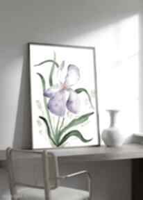 Irys A3 małgorzata domańska akwarela, ilustracja, kwiat