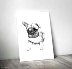 Piesek bulldog francuski pies rysunek wersja cyfrowa ręcznie