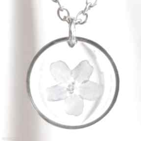 Srebrny naszyjnik z kwiatem niezapominajki na przezroczystym tle delikatna naturofanka, kwiat