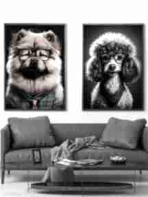 Pies psy, zwierzęta. Plakat plakaty 50x70