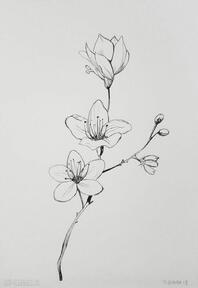 Kwiatki praca formatu A5 paulina lebida kwiaty, cienkopis, papier