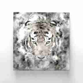 Canvas obraz płótno tygrys 50x70 cm hogstudio, salon