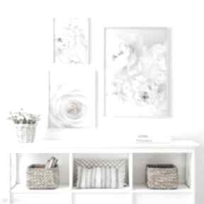 Tryptyk do salonu, plakat z kwiatami, białe zdjęcia - plakaty na ścianę: natura - zestaw 3