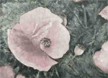 Makowa harmonia, obraz 55x40 cm joannatkrol kwiaty, maki olejny, abstrakcja