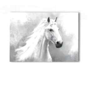 Obraz - biały koń wydruk na płótnie lili arts, konik, płótno, malowany ręcznie