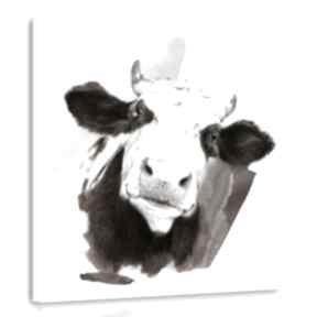 Obraz drukowany na płótnie łaciata krowa 80x80 ludesign gallery