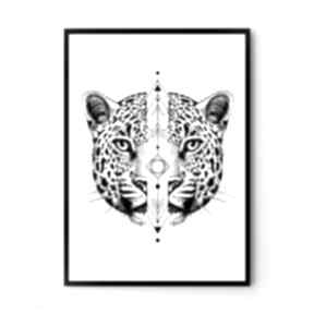 Plakat obraz 50x70 cm B2 hogstudio kot, gepard, tygrys, lew, puma, centki