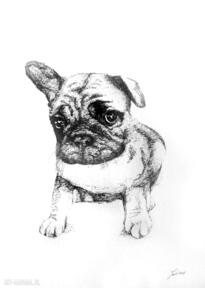 Rysunek bulldog francuski ŚcianĘ prezent pies bulldogfrancuski