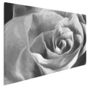 Obraz na płótnie - szara róża 120x80 cm 00901 vaku dsgn róża